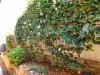 24 Henry Place, Long Beach, NSW 2536-Image