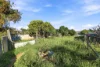 24 Houston Street, Spalding, WA 6530-Image