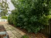 24 Hutchinson Road, Burekup, WA 6227-Image
