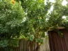 24 Hutchinson Road, Burekup, WA 6227-Image