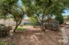 24 Iberia Way, Smithfield, SA 5114-Image