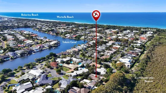 24 Jabiru Drive, Wurtulla, Qld 4575