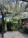 24 John Russell Circuit, Conder, ACT 2906-Image