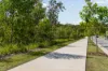 24 Kestrel Street, Worongary, Qld 4213-Image