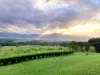 24 Kinjun Road, Dingo Pocket, Qld 4854-Image
