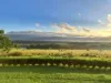 24 Kinjun Road, Dingo Pocket, Qld 4854-Image