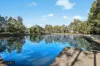 24 Lakeview Crescent, Lidcombe, NSW 2141-Image