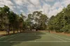 24 Lauren Place, Chandler, Qld 4155-Image