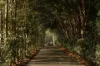 24 Lauren Place, Chandler, Qld 4155-Image
