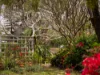 24 Llewellyn Street, Centenary Heights, Qld 4350-Image