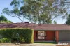 24 Louis Loder Street, Theodore, ACT 2905-Image