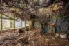 24 Marion Street, Adelaide, SA 5000-Image