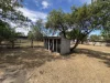 24 Marshall Street, Warwick, Qld 4370-Image
