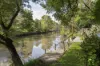 24 Mayfield Street, Abbotsford, Vic 3067-Image
