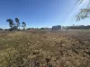 24 Melaleuca Avenue, Dalby, Qld 4405-Image