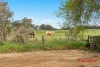 24 Melrose Street, Mount Pleasant, SA 5235-Image