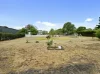 24 Mocatta Street, Goombungee, Qld 4354-Image