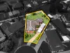 24 Mona Vale Place, Woodbine, NSW 2560-Image