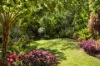 24 Moonlight Close, Mullumbimby, NSW 2482-Image