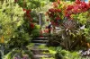 24 Moonlight Close, Mullumbimby, NSW 2482-Image
