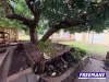 24 Moonya Street, Kingaroy, Qld 4610-Image