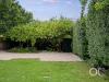24 Mornington Road, Unley, SA 5061-Image