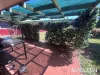 24 Murray Parade, Kingaroy, Qld 4610-Image