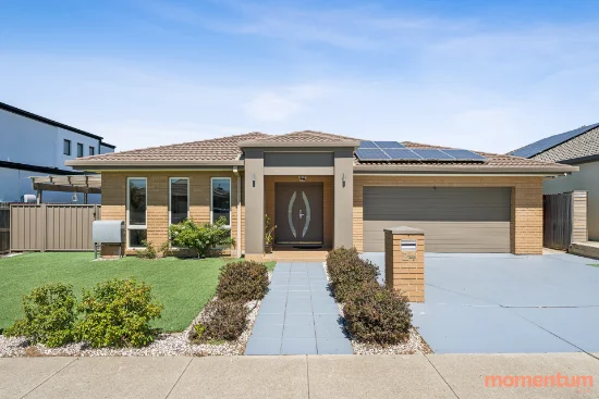 24 Nancy Cato Street, Franklin, ACT 2913