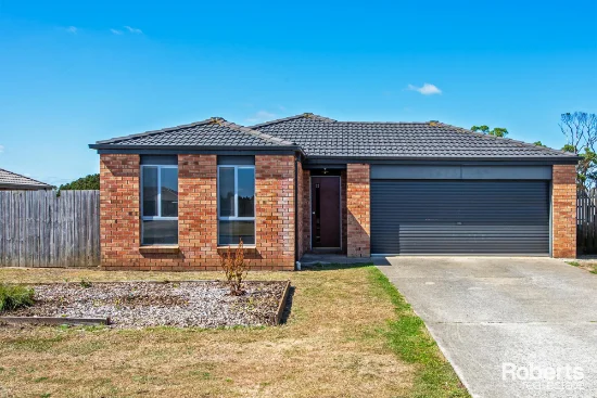 24 Nutview Court, Smithton, Tas 7330