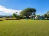 24 Olive Grove, Kingaroy, Qld 4610-Image