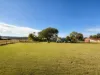 24 Olive Grove, Kingaroy, Qld 4610-Image