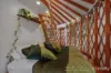 24 Orion Street, Macleay Island, Qld 4184-Image