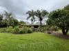 24 Owens Street, Mareeba, Qld 4880-Image