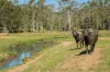 24 Paddy Melon Lane, Belli Park QLD 4562-Image