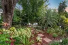 24 Park Road, Graceville, Qld 4075-Image