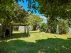 24 Park Street, Wilsonton, Qld 4350-Image