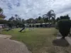 24 Pine Crescent, Dalveen, Qld 4374-Image