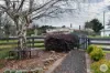 24 Pitfield-Scarsdale Road, Scarsdale, Vic 3351-Image