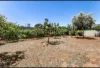 24 Porter Street, Elizabeth South, SA 5112-Image