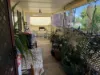 24 Raglan Street, Inverell, NSW 2360-Image