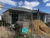 24 Railway Pde, Kalkallo, Vic 3064-Image