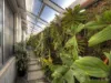 24 Rathmines Street, Clarkson, WA 6030-Image