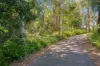 24 Rayles Lane, Terranora, NSW 2486-Image