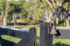 24 Redgum Drive, Tallong, NSW 2579-Image