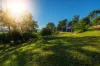 24 Richmond Hill Road, Richmond Hill, NSW 2480-Image