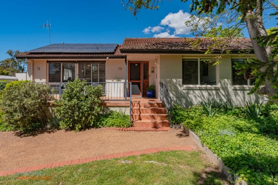 24 Robertson Street, Curtin, ACT 2605 - For Sale