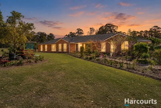 24 Rosebank Drive, Wallalong, NSW 2320