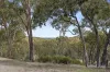 24 Ross Drive, Castlemaine, Vic 3450-Image
