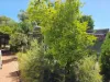 24 SALEEBA Road, Moora, WA 6510-Image