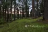 24 Stone Road Nth, Gembrook, Vic 3783-Image